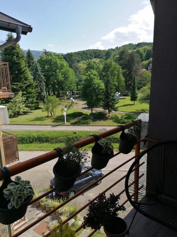 Koko Apartman Vrnjačka Banja Exterior foto